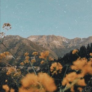 Meet your Posher, Alice